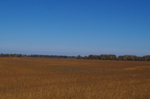 Chernihivs'ka Oblast, Ukraine